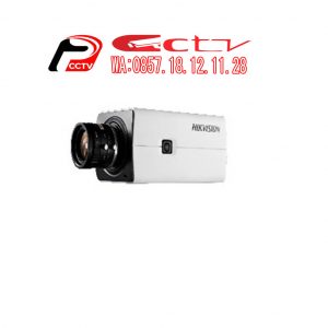 IP Kamera DS-2CD2821G0, Hikvision DS-2CD2821G0, Kamera Cctv Kudus, Hikvision Kudus, Security Alarm Systems Kudus, Jual Kamera Cctv Kudus, Alarm Security Kudus